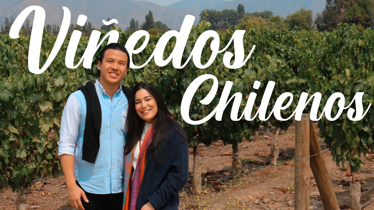 Vlog de Visita a VIÑEDOS de Santiago de CHILE 🇨🇱 (UNDURRAGA y CONCHA Y TORO)