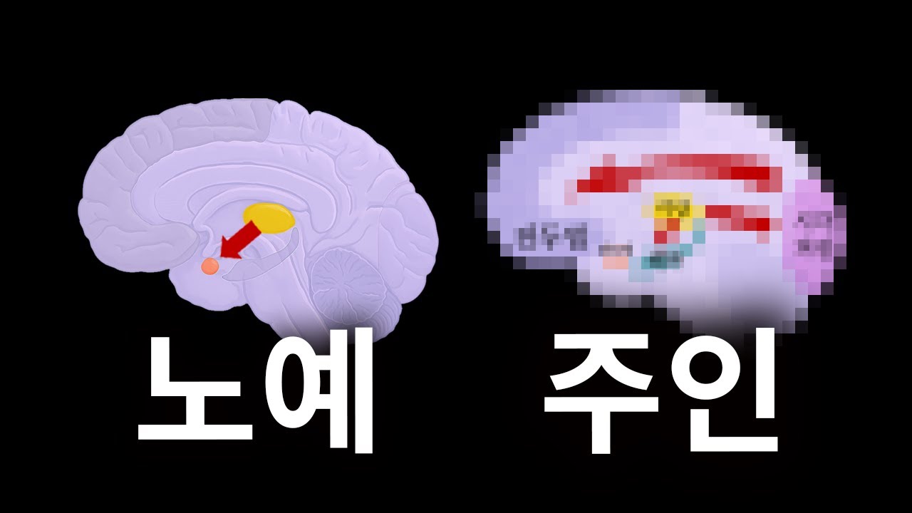 (추천) 평생 내 감정의 주인이 되는 법