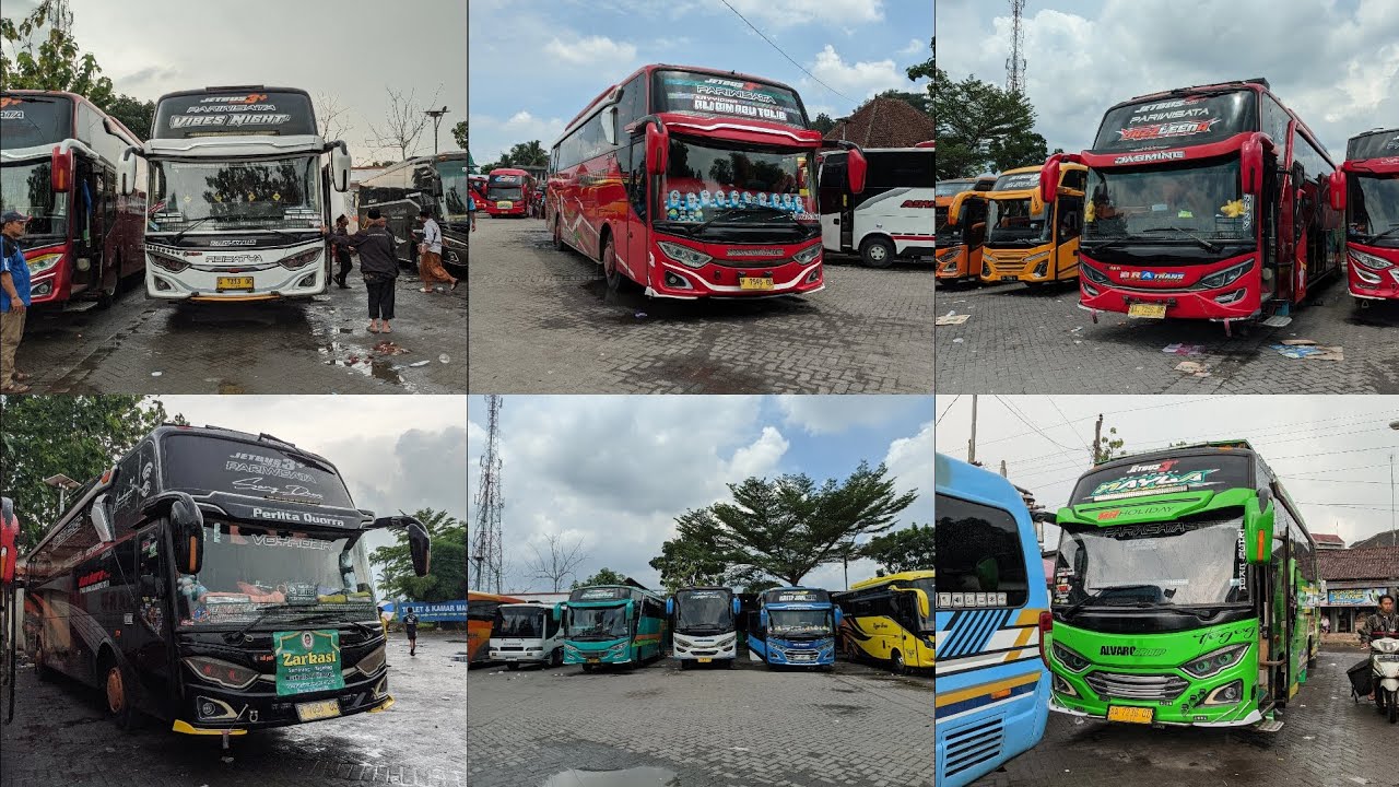Hunting Bus Di Tape Ketan & Gn Pring, Banyak Bus Artis🤩🔥🕺💃