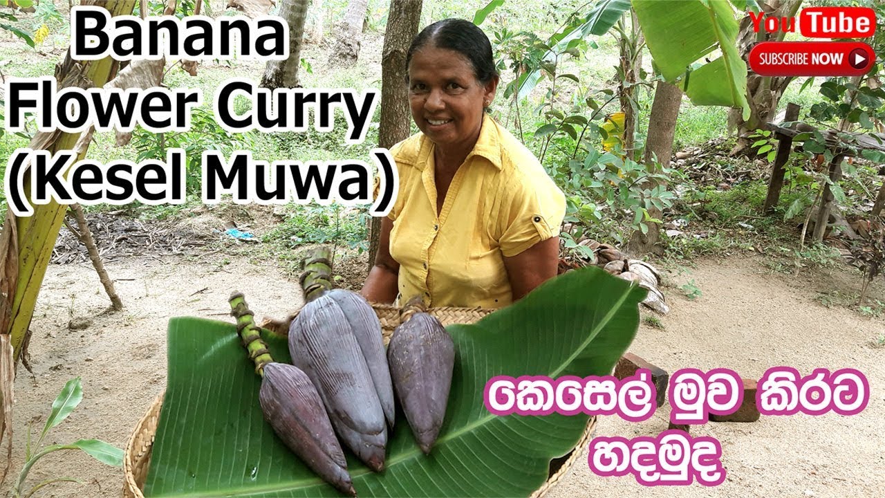 Banana Flower Curry Recipe prepared by My Mom | ( Kesel Muwa kirita )