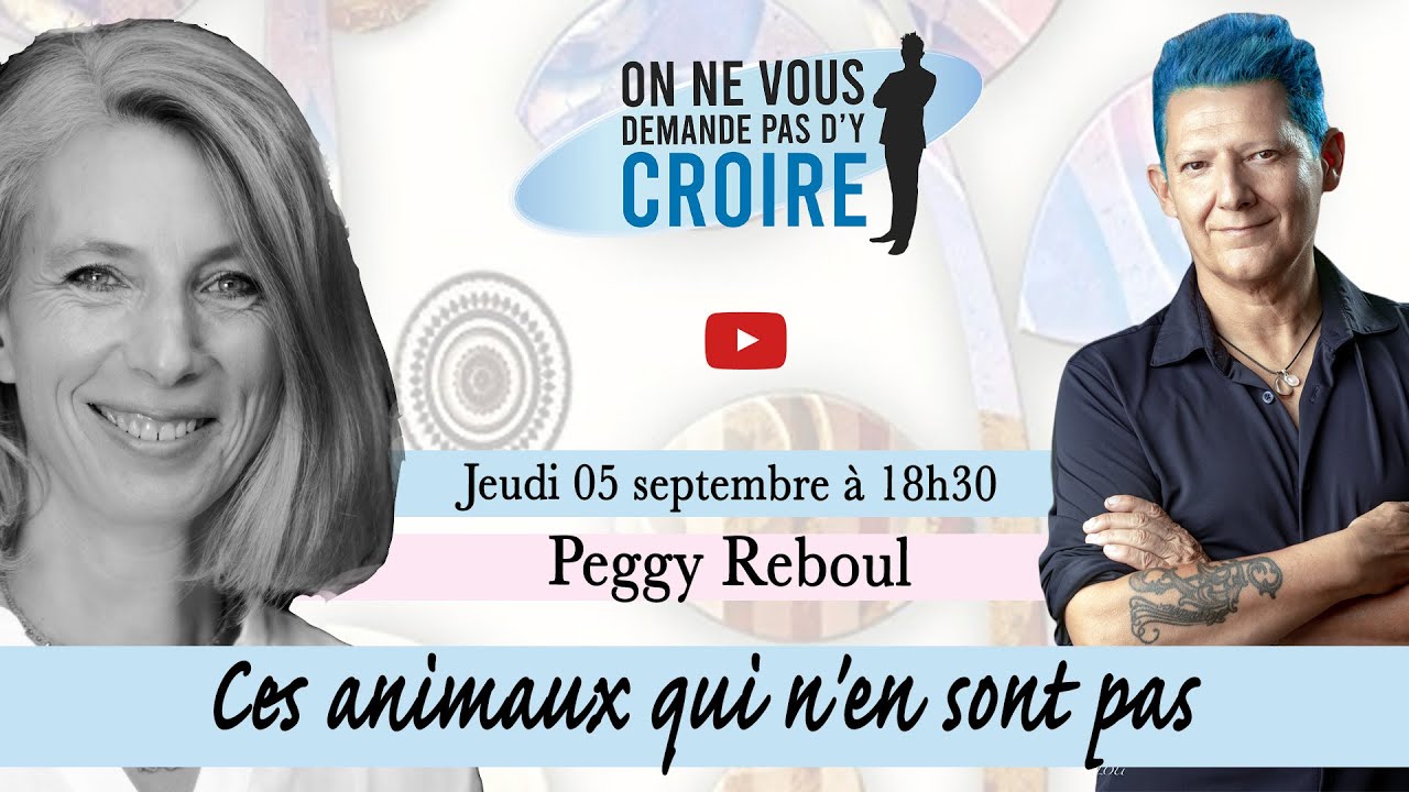 PEGGY REBOUL : Ces animaux qui n'en sont pas