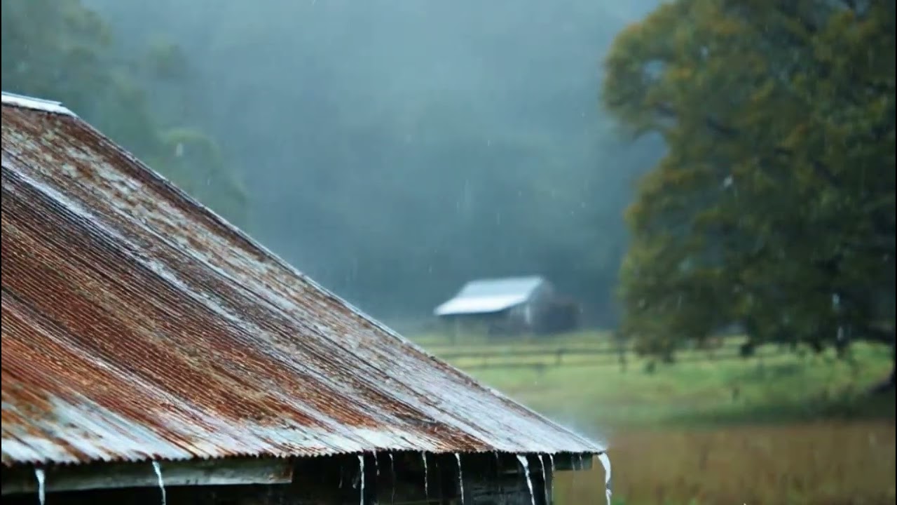 Relaxing Rain Sounds on a Tin Roof for Sleep & Relaxation | Natural White Noise🌧️