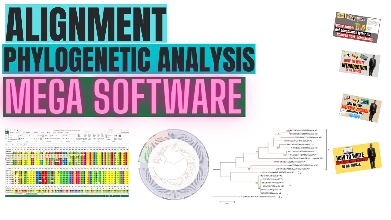 How to construct a phylogenetic tree and sequence alignment | MEGA X software -Lecture 2
