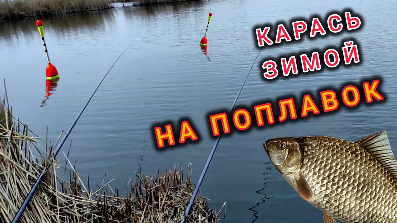 Ловля Карася Зимой на ПОПЛАВОК!