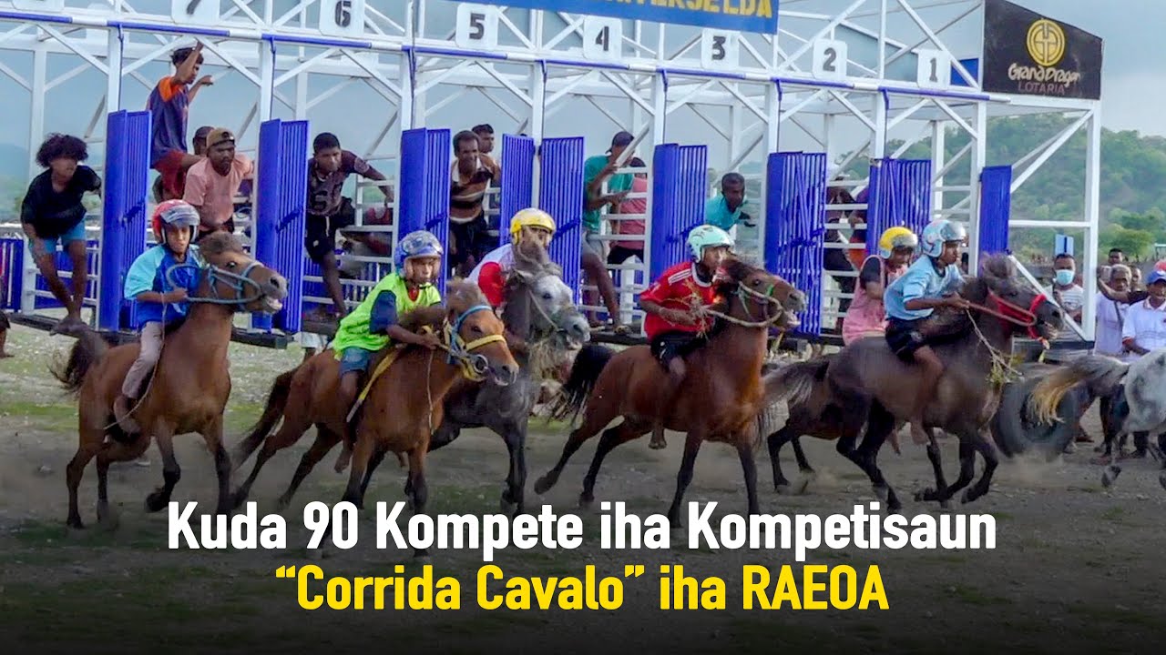 Kuda 90 Kompete iha Kompetisaun 