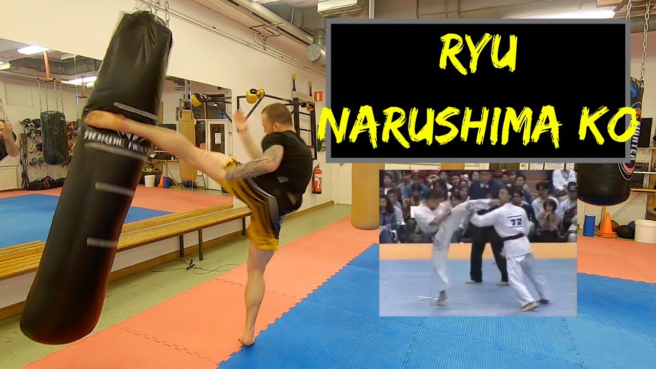RYU NARUSHIMA kick | Kyokushin Knockout Combination | Karate for MMA. Episode 25.