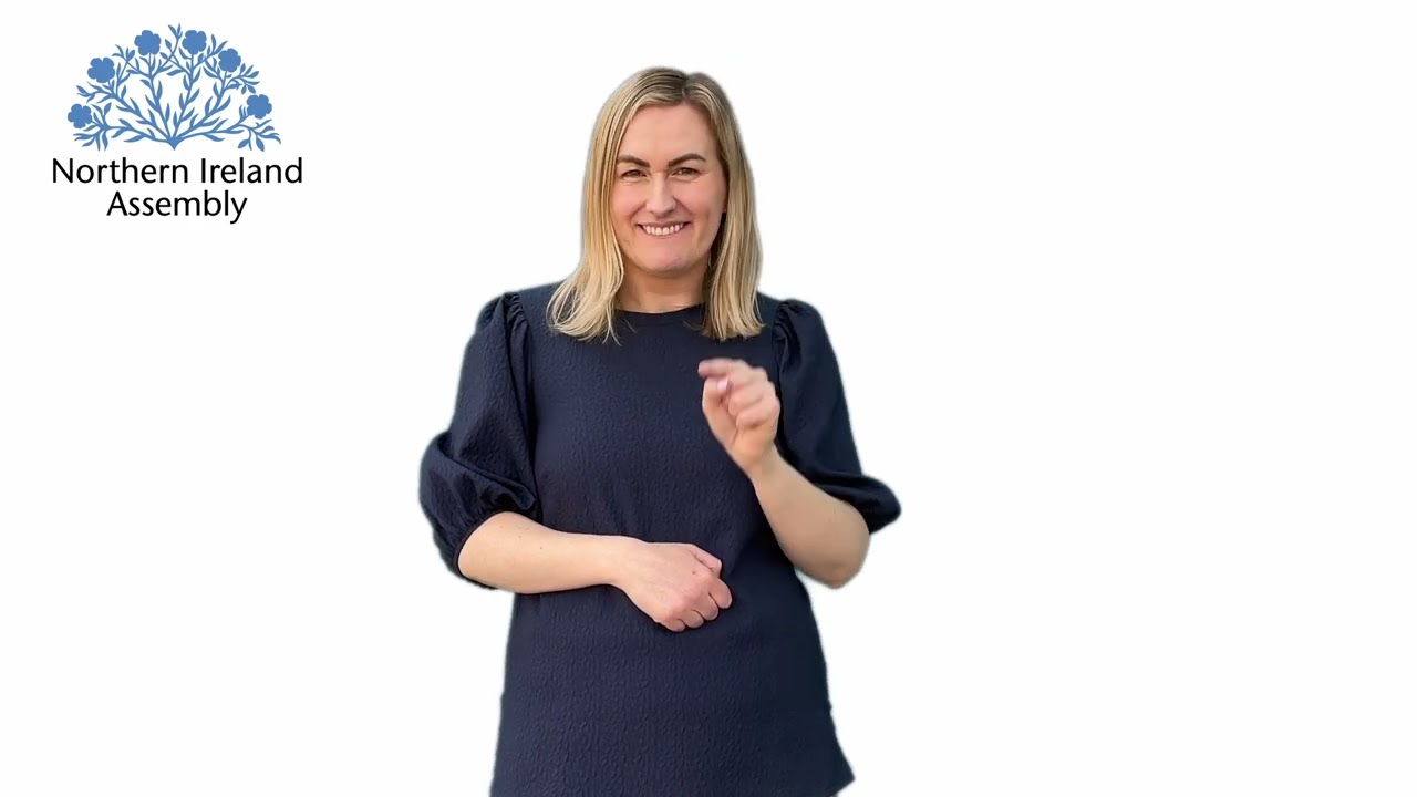 Sign Language Bill, Amendments for Consideration Stage BSL