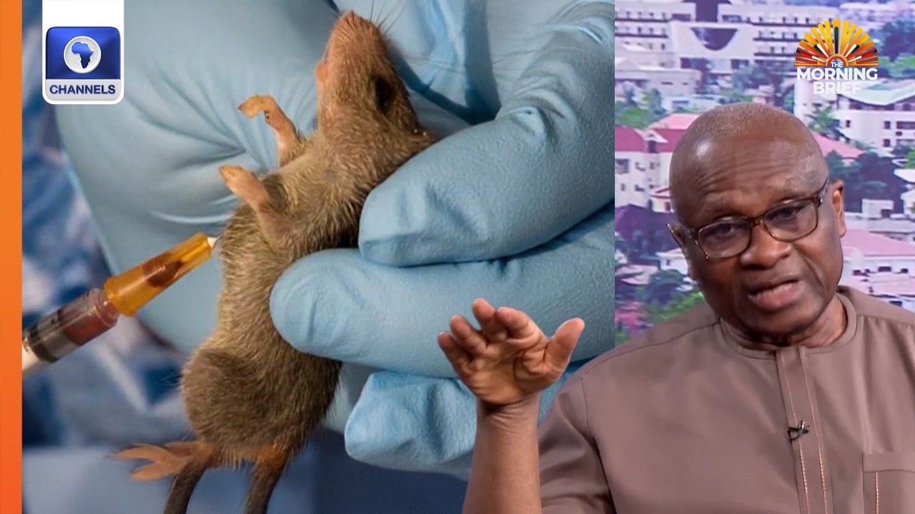 Lassa Fever Outbreak: We Will Reduce Incidence In The Next 10 Years — NCDC DG
