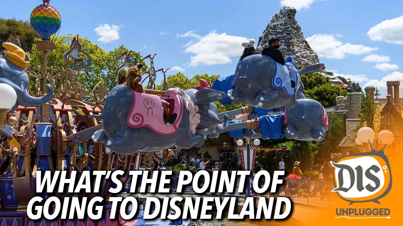What's the Point of Going to Disneyland?