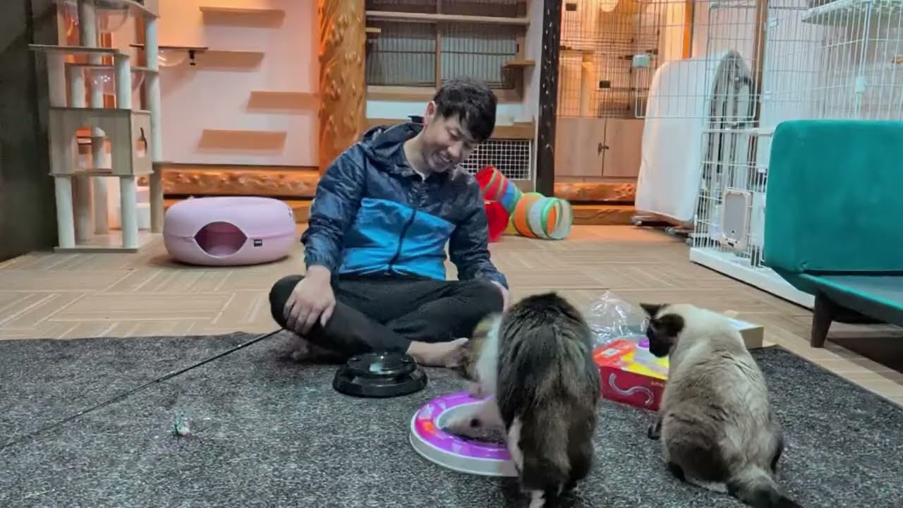 猫の日ライブ「にゃんにゃんにゃん」