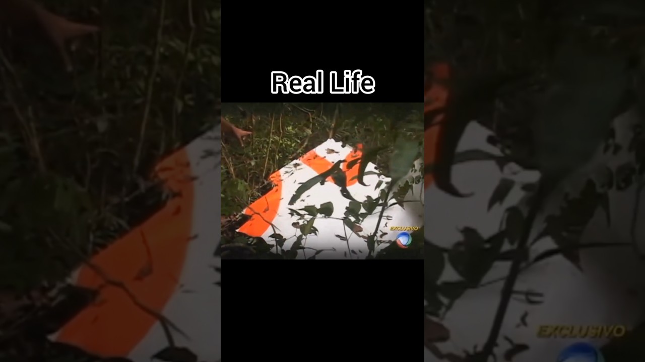 Animation Vs Real - Gol Flight 1907 #shorts #ytshorts #aviationplanecrash