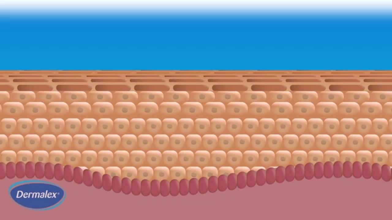 Dermalex Eczema - how it works