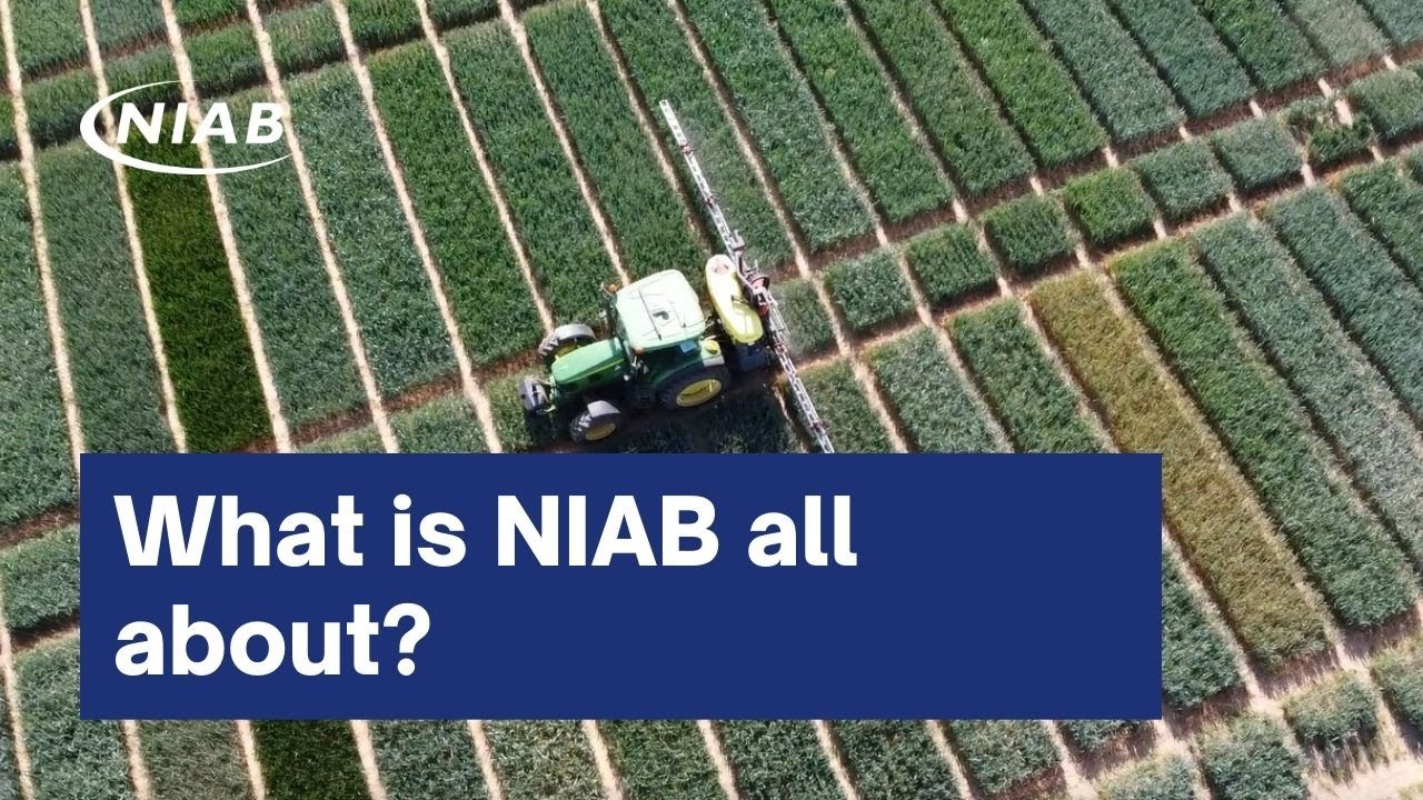 What is NIAB all about?