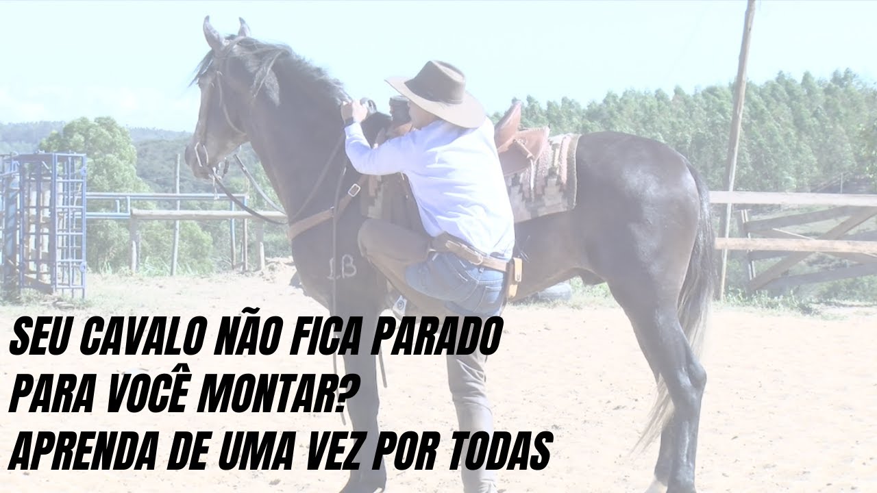 Depois que seus cavalos respeitam isso, você nunca mais aceita outro comportamento.