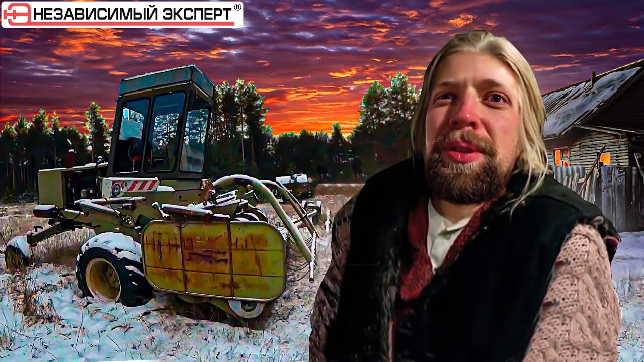 У собачихи в гостях!