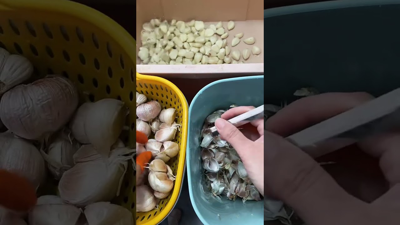 🔴Live stream的副本