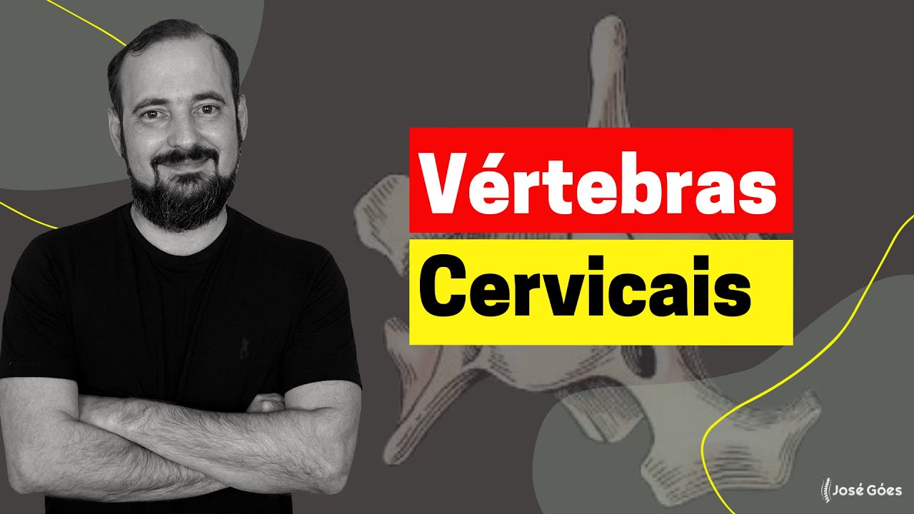 Vértebras Cervicais | José Góes