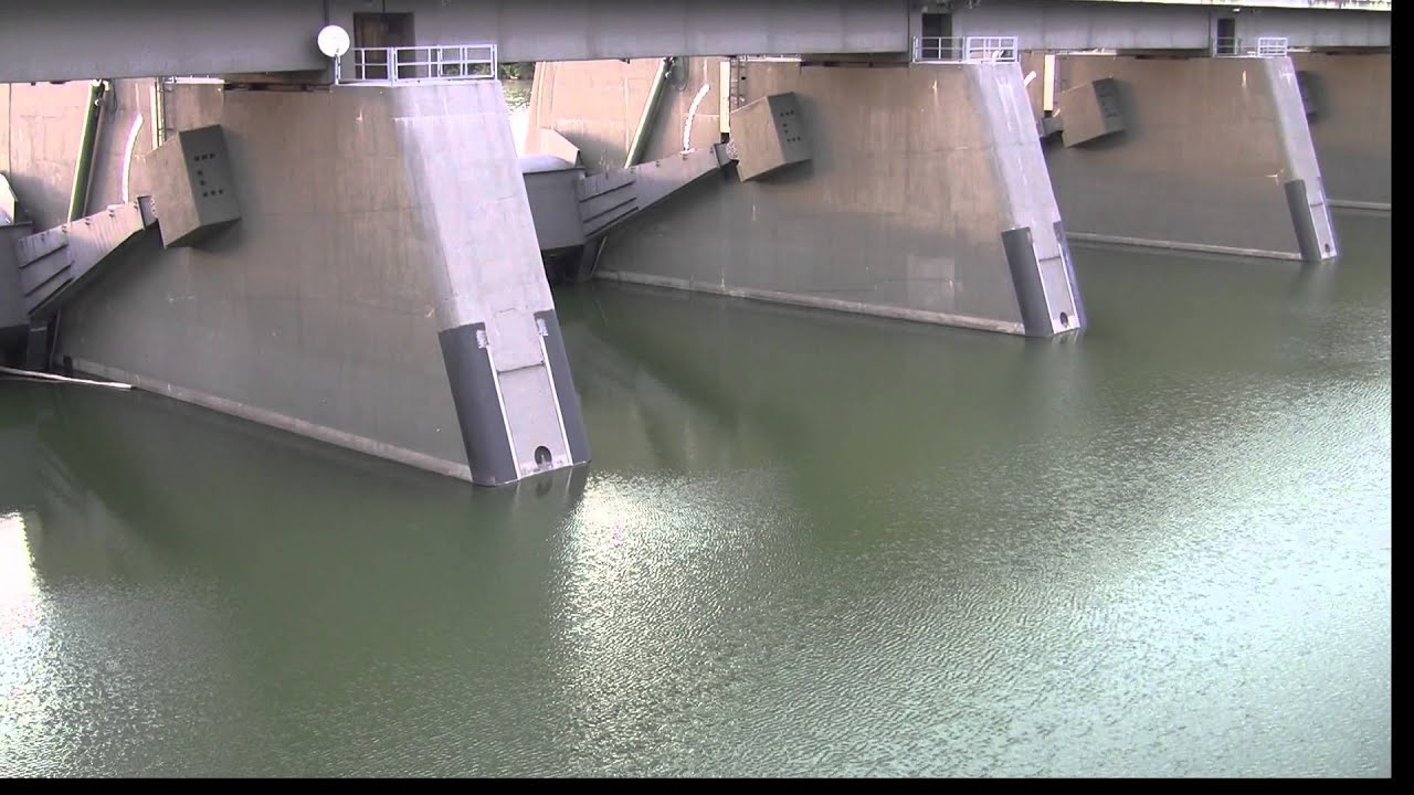 Hochwasser Wien 2013