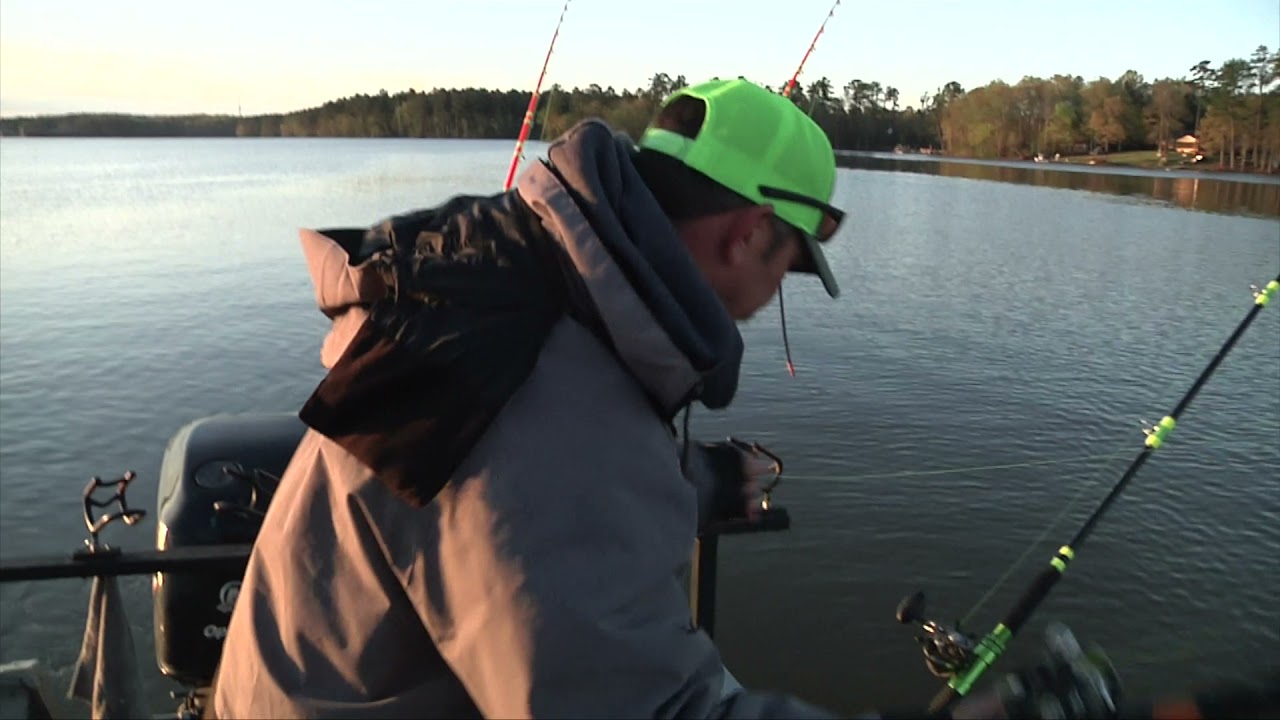 Lake Murray Catfish