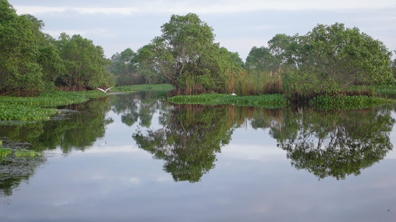 Kalametiya Bird Sanctuary | Sri Lanka | Kiwano Eco Travel