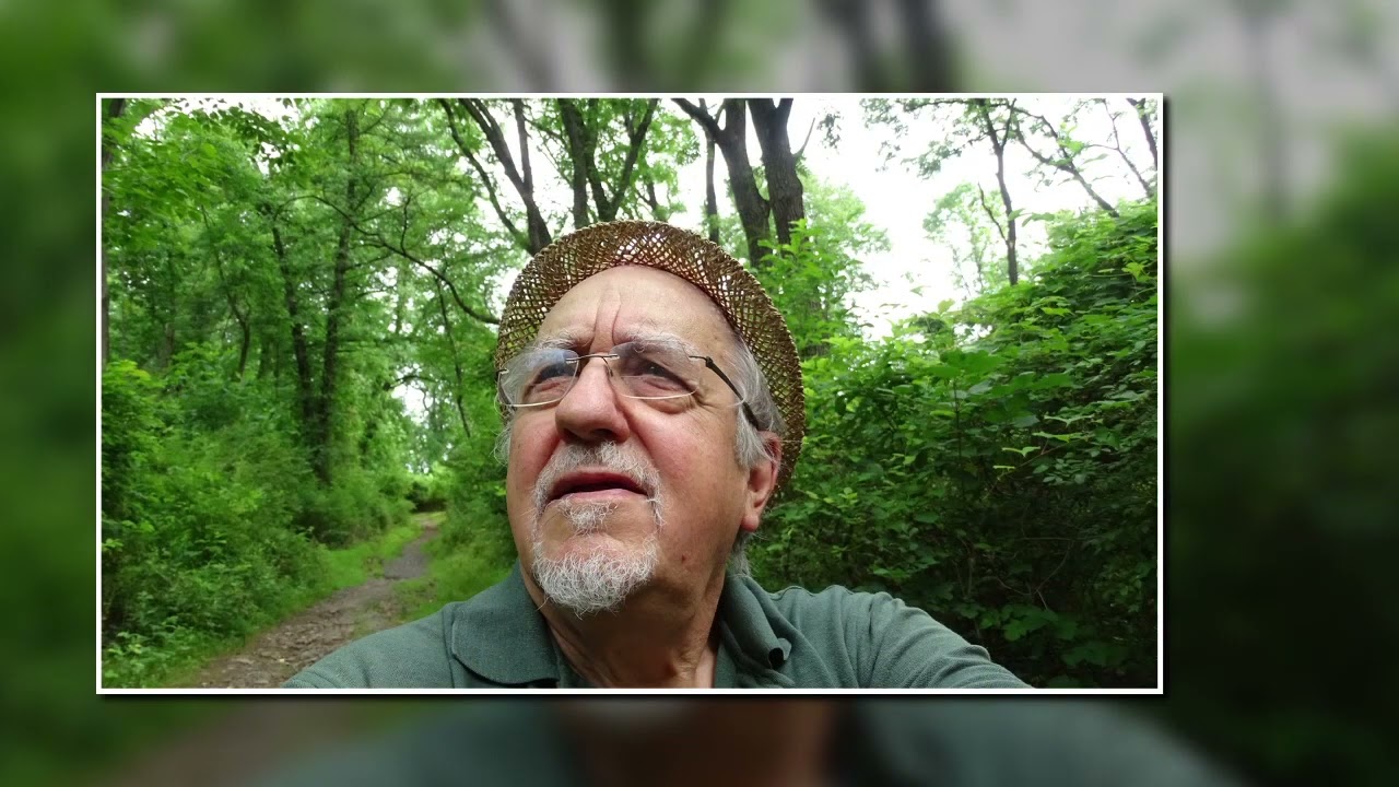 Is the Sony DSC HX400V Good for Nature Photography in 2023?