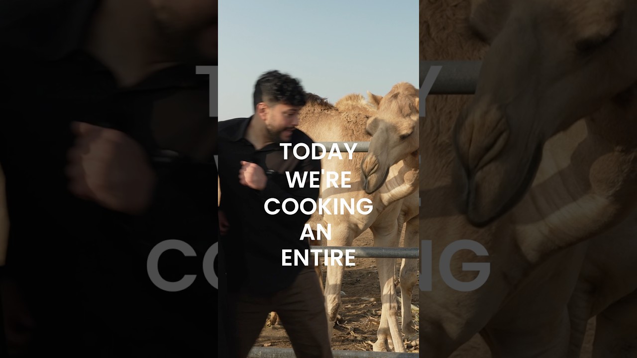 I Cooked An Entire Camel!