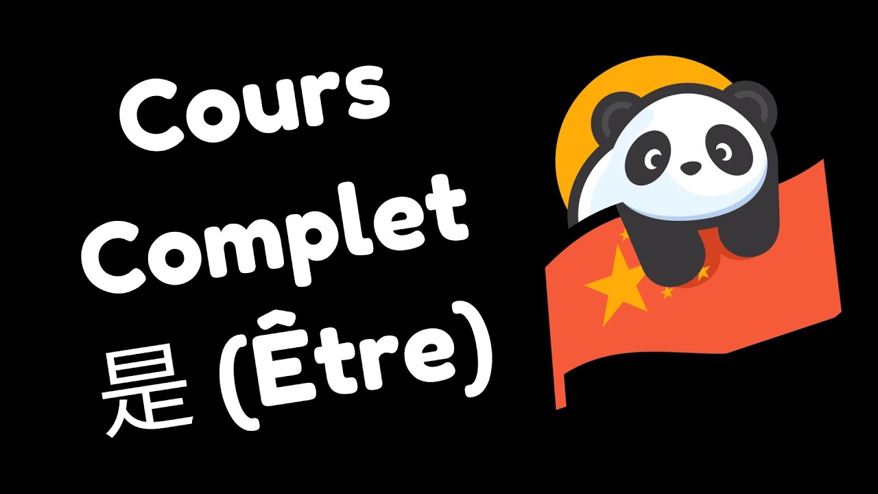 Cours complet sur 是 (shì) - Identité, affirmation, structures en 是 ... 的